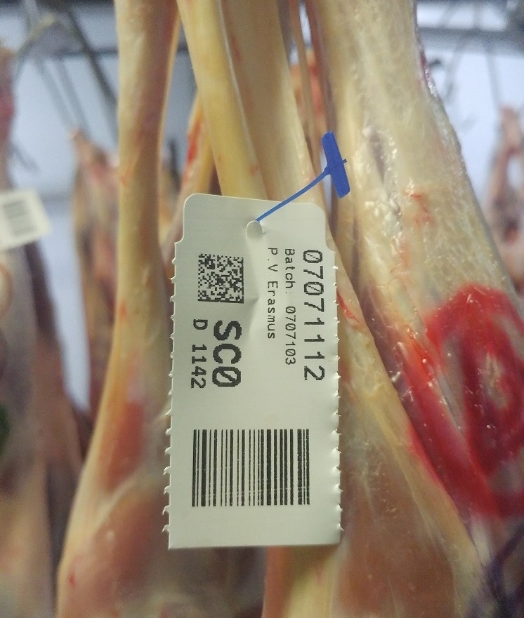 Slaughter Floor & Carcass Classification